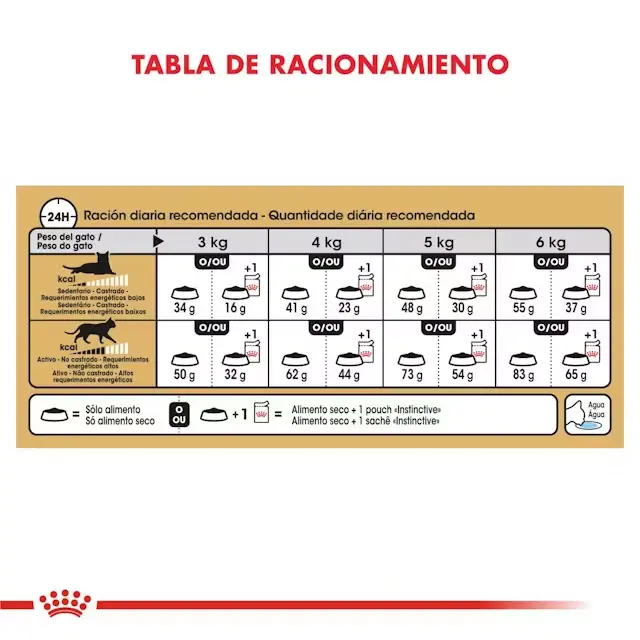 Foto de Royal Canin Siamese Adulto