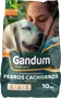 Foto de Gandum Perro Cachorro
