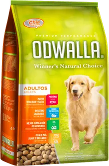 Foto de Odwalla Perro Adulto