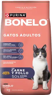 Foto de Bonelo Gato Adulto