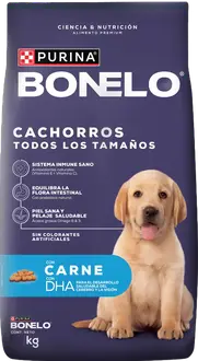 Foto de Bonelo Perro Cachorro