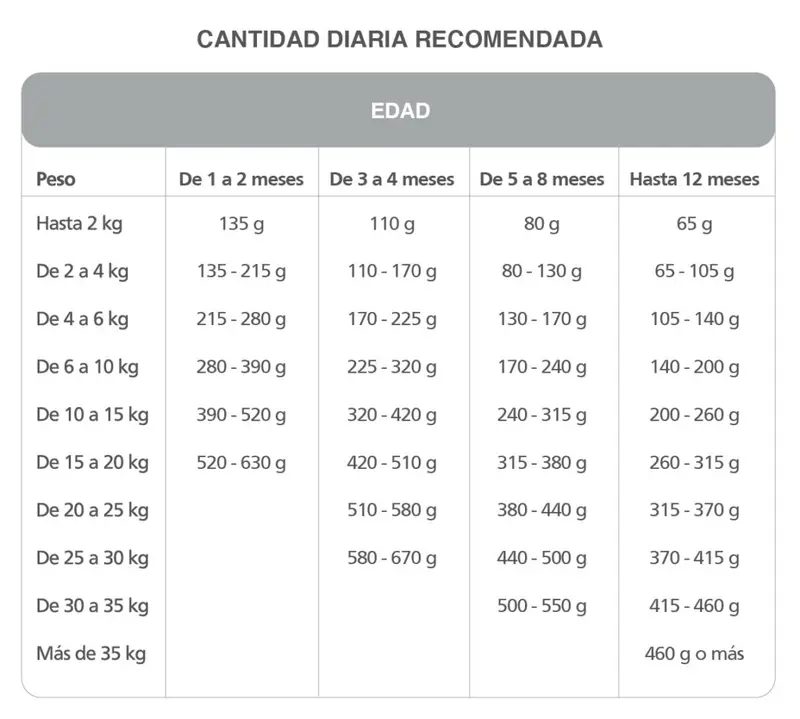 Foto de Kongo Cachorros Todas las Razas