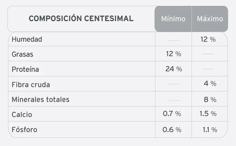 Foto de High Pro Criadores Perros Adultos