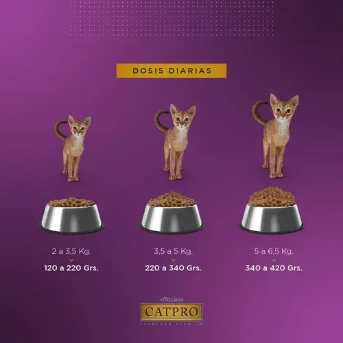 Foto de Catpro Castrados