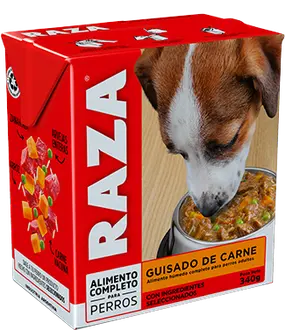 Foto de Raza Perro Adulto Guisado de Carne