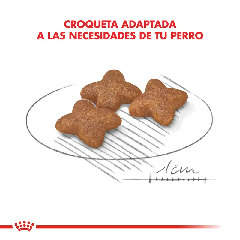Foto de Royal Canin Mini Adulto