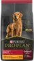 Foto de Pro Plan Perro Adulto Raza Mediana