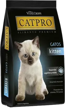 Imagen de Catpro Kitten