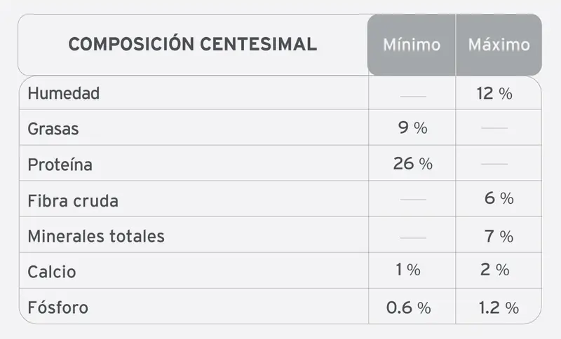 Foto de Voraz Gato Adulto