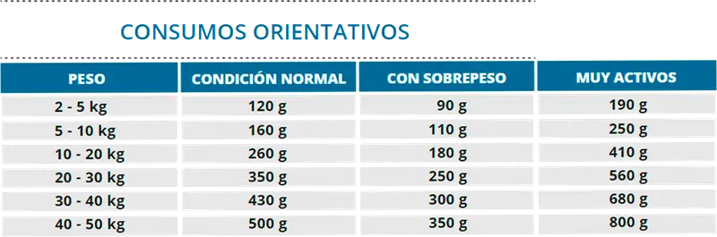 Foto de Dog Selection Criadores Adulto