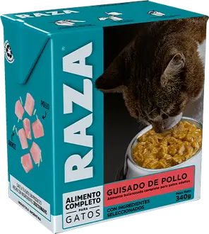 Foto de Raza Gato Adulto Guisado de Pollo