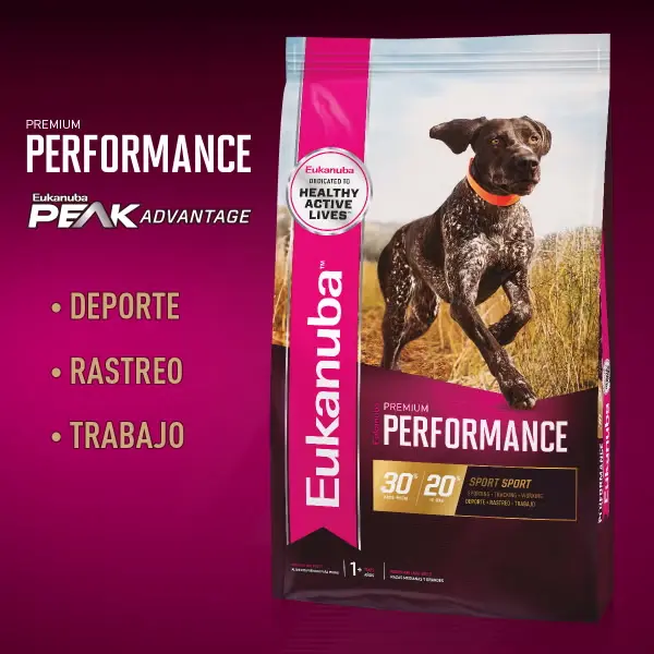 Foto de Eukanuba Premium Performance Adult