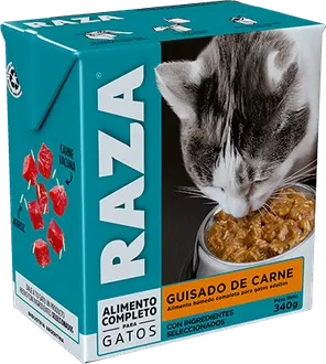Foto de Raza Gato Adulto Guisado de Carne