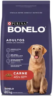 Foto de Bonelo Perro Adulto de Razas Medianas y Grandes