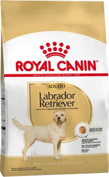 Imagen de Royal Canin Labrador Retriever Adulto