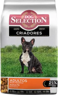 Foto de Dog Selection Criadores Adulto Raza Pequeña