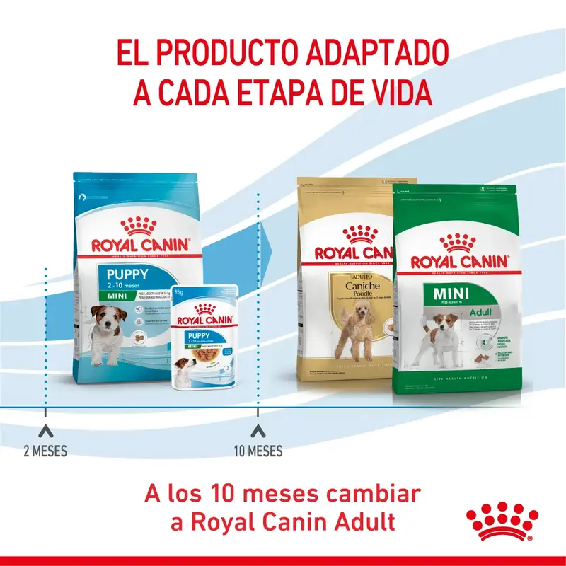 Foto de Royal Canin Mini Puppy