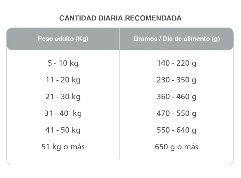 Foto de Kongo Adultos Medianos y Grandes