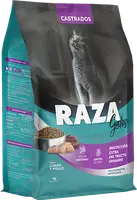 Imágen de Raza Gato Castrado