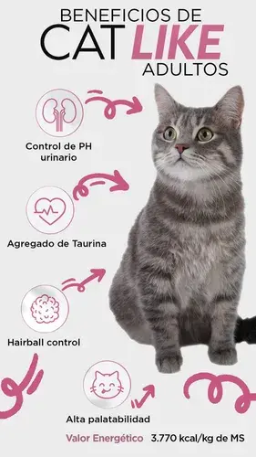 Foto de Catlike Adultos