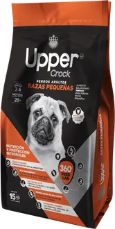 Foto de Upper Crock Perro de Raza Pequeña