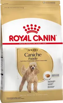Foto de Royal Canin caniche Adulto