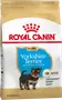 Foto de Royal Canin Yorkshire Terrier Puppy