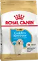Foto de Royal Canin Golden Retriever Puppy