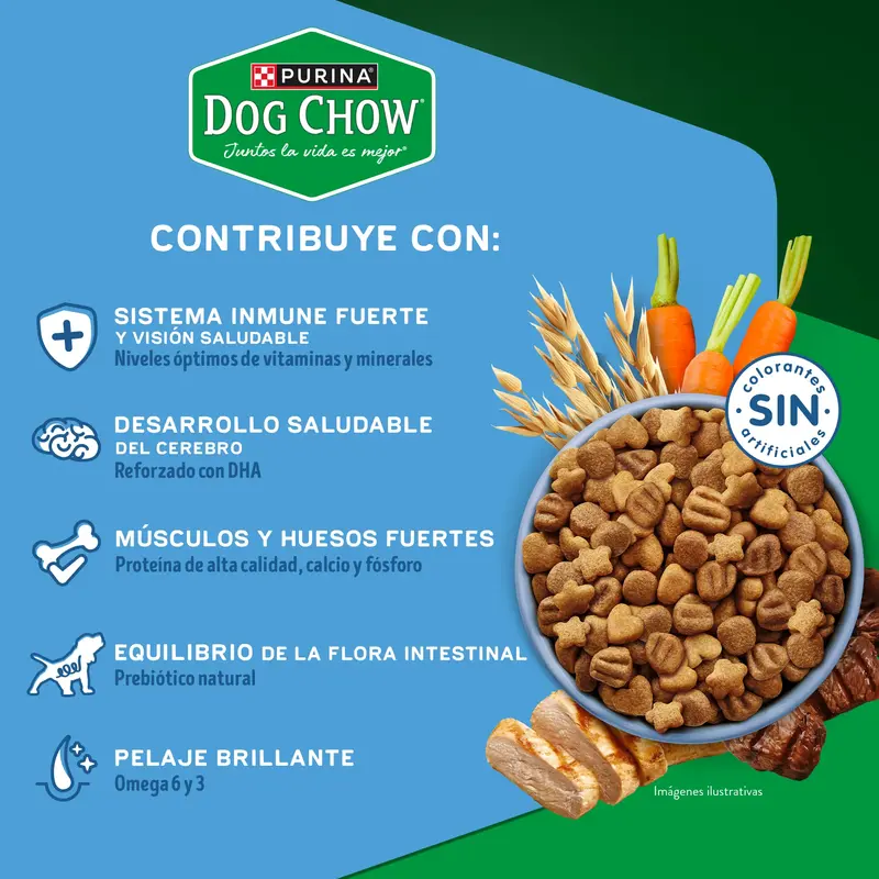 Foto de Dog Chow Perro Cachorro