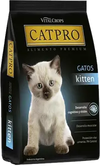 Foto de Catpro Kitten