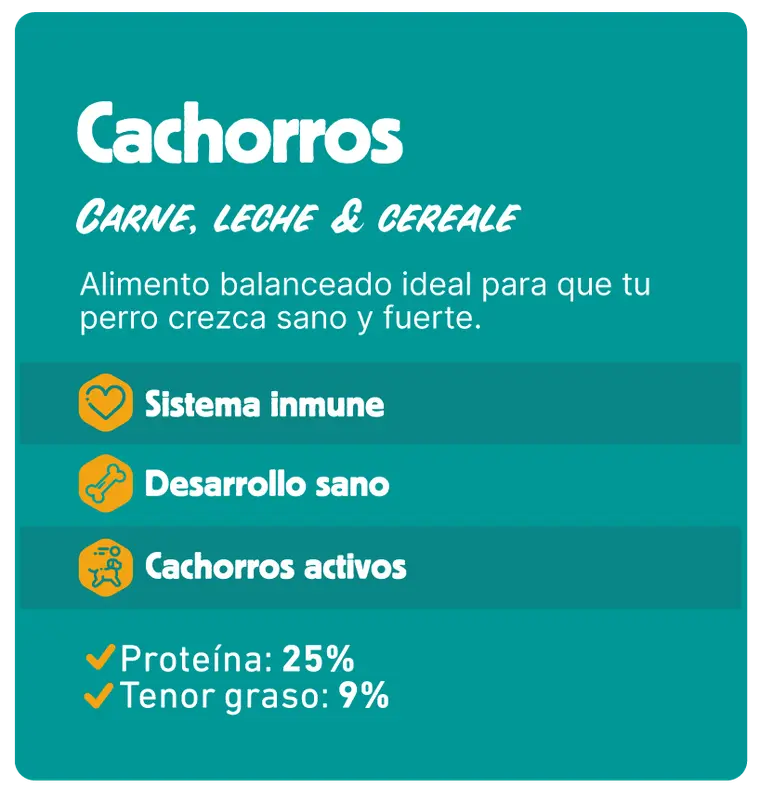 Foto de Keiko Perro Cachorro