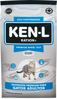 Foto de Ken-l Gato Adulto