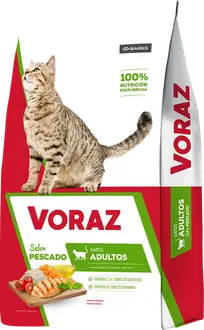 Foto de Voraz Gato Adulto