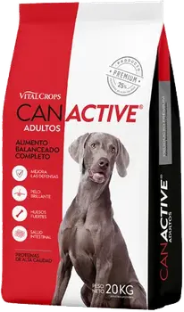 Imagen de Can Active Perro Adulto Mordida Grande