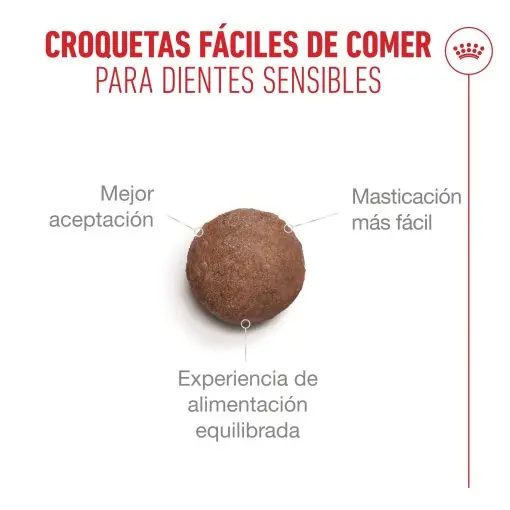 Foto de Royal Canin Gato Ageing 11+