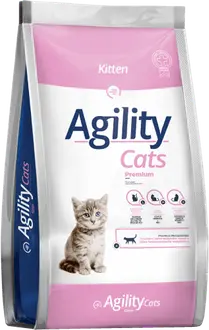 Foto de Agility Kitten