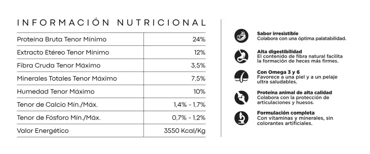 Foto de Upper Crock Perro Adulto