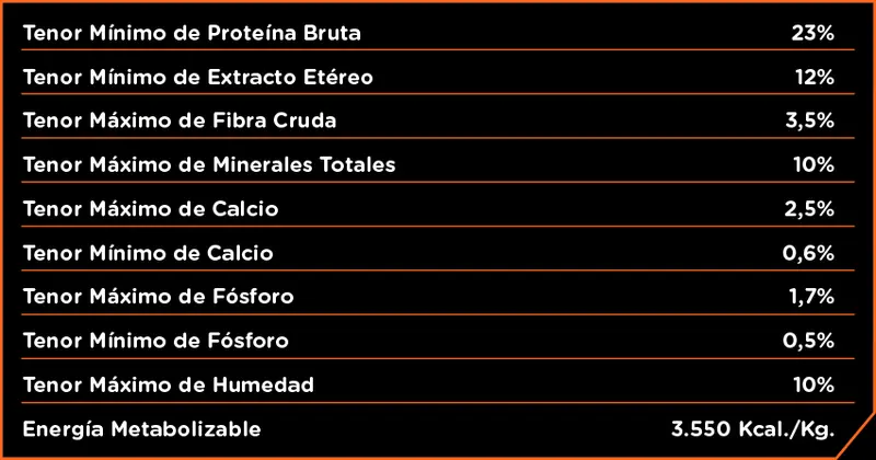 Foto de Inﬁnity Perro Adulto de Raza Pequeña