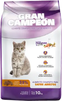 Imagen de Gran Campeón Gato Adulto