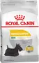 Foto de Royal Canin Perro Care Dermacomfort Mini