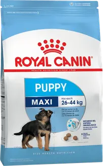 Foto de Royal Canin Maxi Puppy