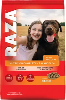 Foto de Raza Perro Adulto de Raza Mediana y Grande