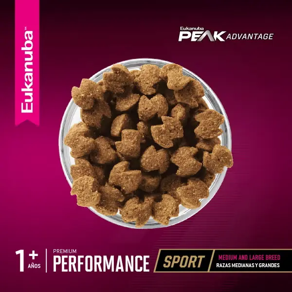 Foto de Eukanuba Premium Performance Adult