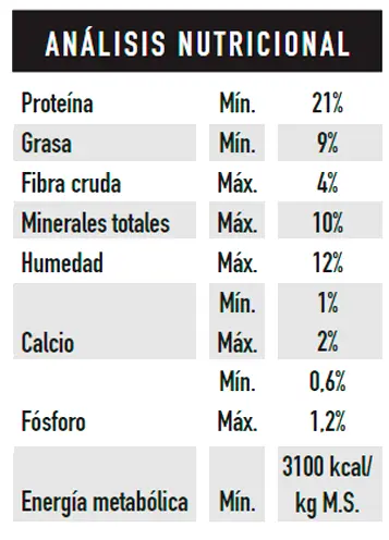 Foto de Dog Selection Criadores Adulto Raza Pequeña