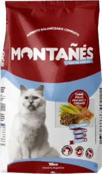 Imagen de Montañés Gato Adulto