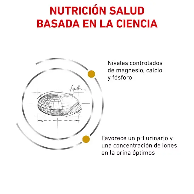Foto de Royal Canin Gato Veterinary  Urinary S/O