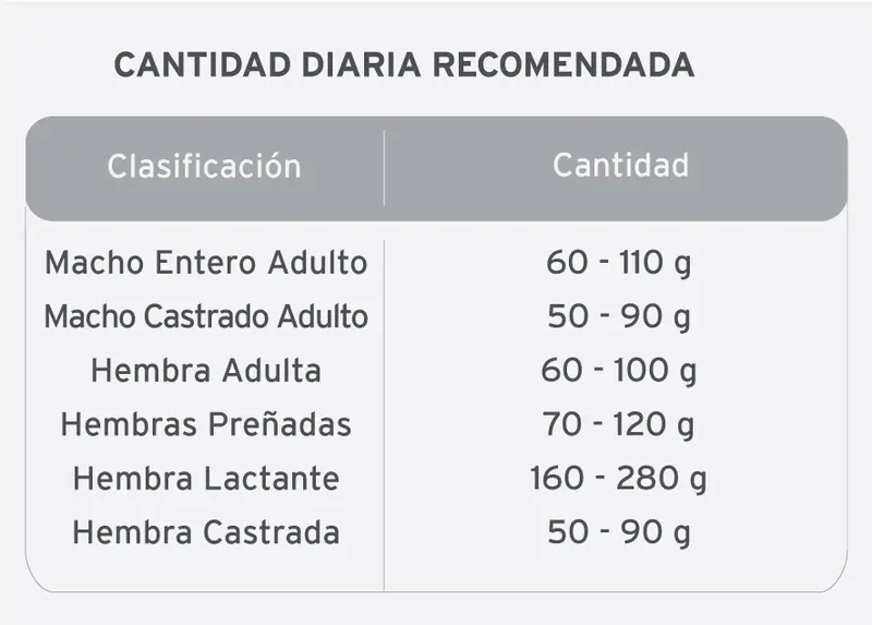 Foto de Kongo Gatos Adultos sabor Salmón y Atún