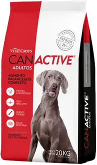 Foto de Can Active Perro Adulto Mordida Grande