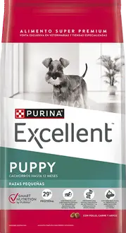 Foto de Excellent Perro Cachorro de Raza Pequeña