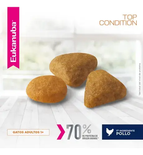 Foto de Eukanuba Gato Adulto Top Condition